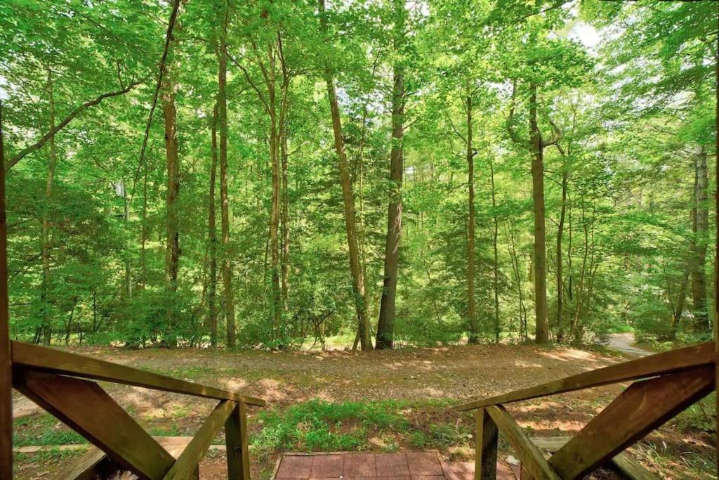 Bear Den Bungalow With Hot Tub Near Blue Ridge And Ellijay Bagian luar foto